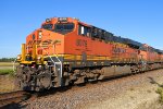 BNSF 8079